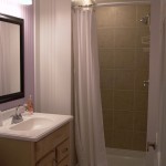 Suite-#2-shower-bathroom